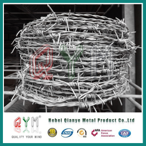 Galvanized Barbed Iron Wire/ PVC Coated Barbed Wire Craft